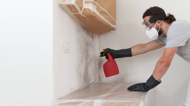 Professional Mold Cleanup technician working in Mackinaw City, MI