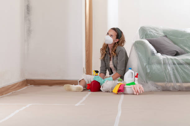 Reliable Mold Cleanup contractor in Mackinaw City, MI by Cheap Mold Removal
